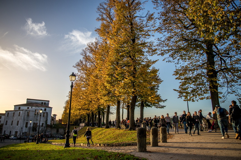 20181101_LuccaCG_005.jpg